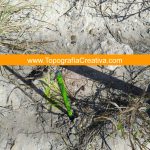 3Levantamiento topográfico en Reynosa Tamaulipas TC-3010-2D