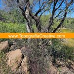 4.Levantamiento Topográfico en Mulegé Baja California Sur TC-2308-1D